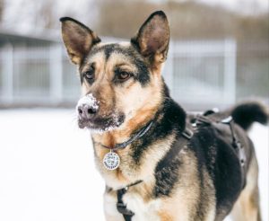 photo_8_2026-02-08_20-53-35