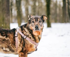 photo_8_2026-02-08_20-54-31