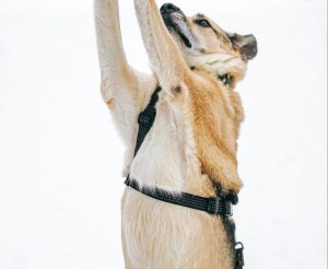 photo_8_2026-02-08_20-55-08