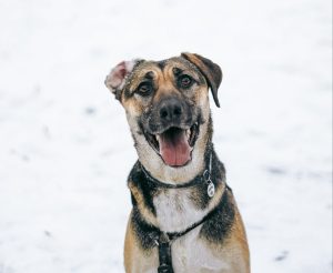 photo_8_2026-02-08_20-56-01