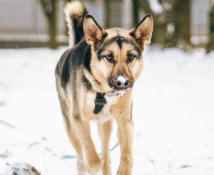 photo_9_2026-02-08_20-53-35