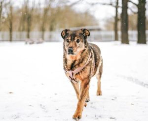 photo_9_2026-02-08_20-54-31