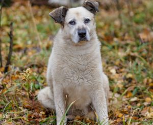 Рута3 копия (1) (1)