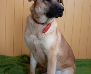 Screenshot_20251229-153555