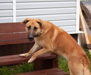 Screenshot_20251229-153642