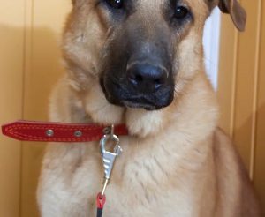 Screenshot_20251229-153738